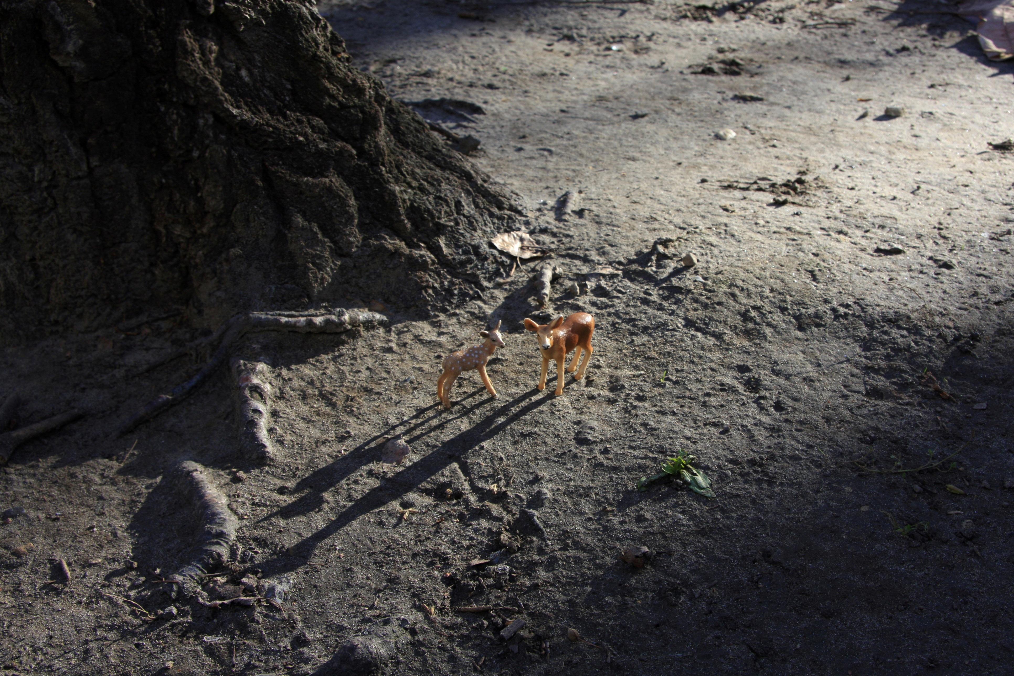 Untitled II. From LenkPlay Series. Limited edition color photograph