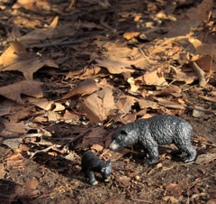 Untitled III. From LenkPlay Series. Limited edition color photograph