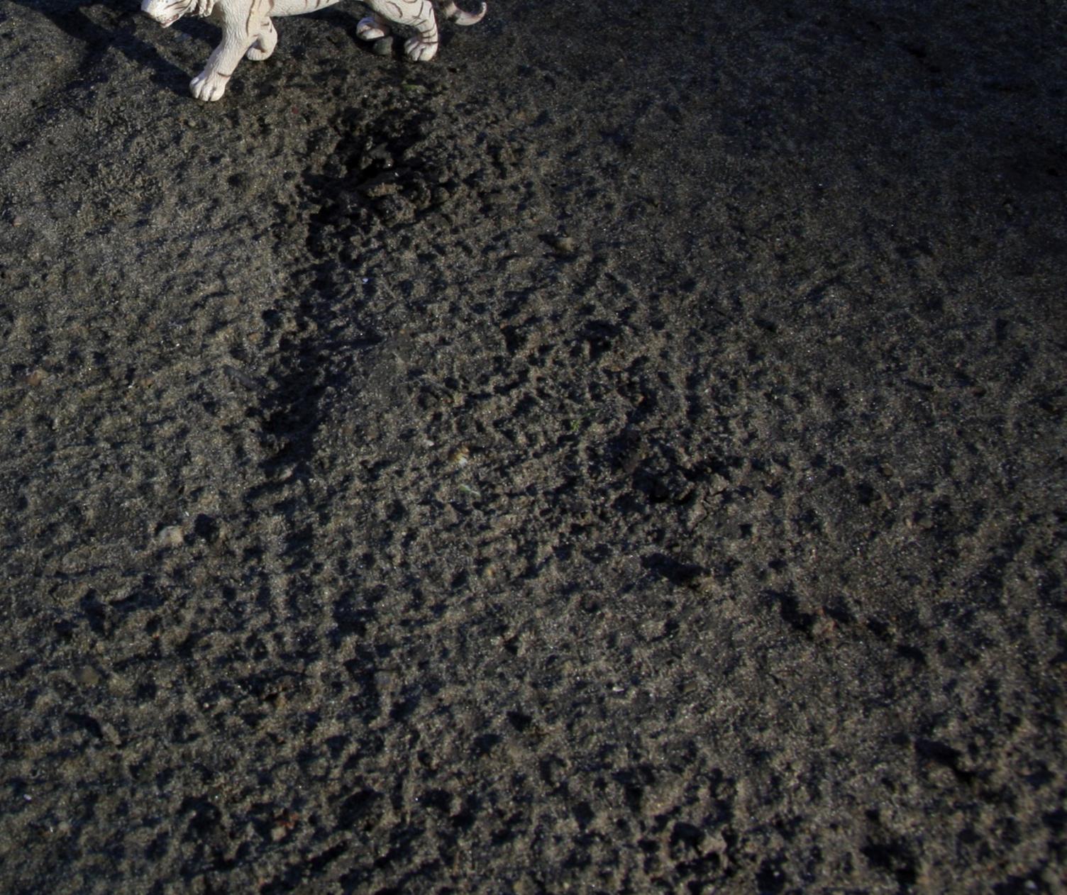 Untitled IV. From LenkPlay Series. Limited edition color photograph - Photograph by Dubravka Lazic