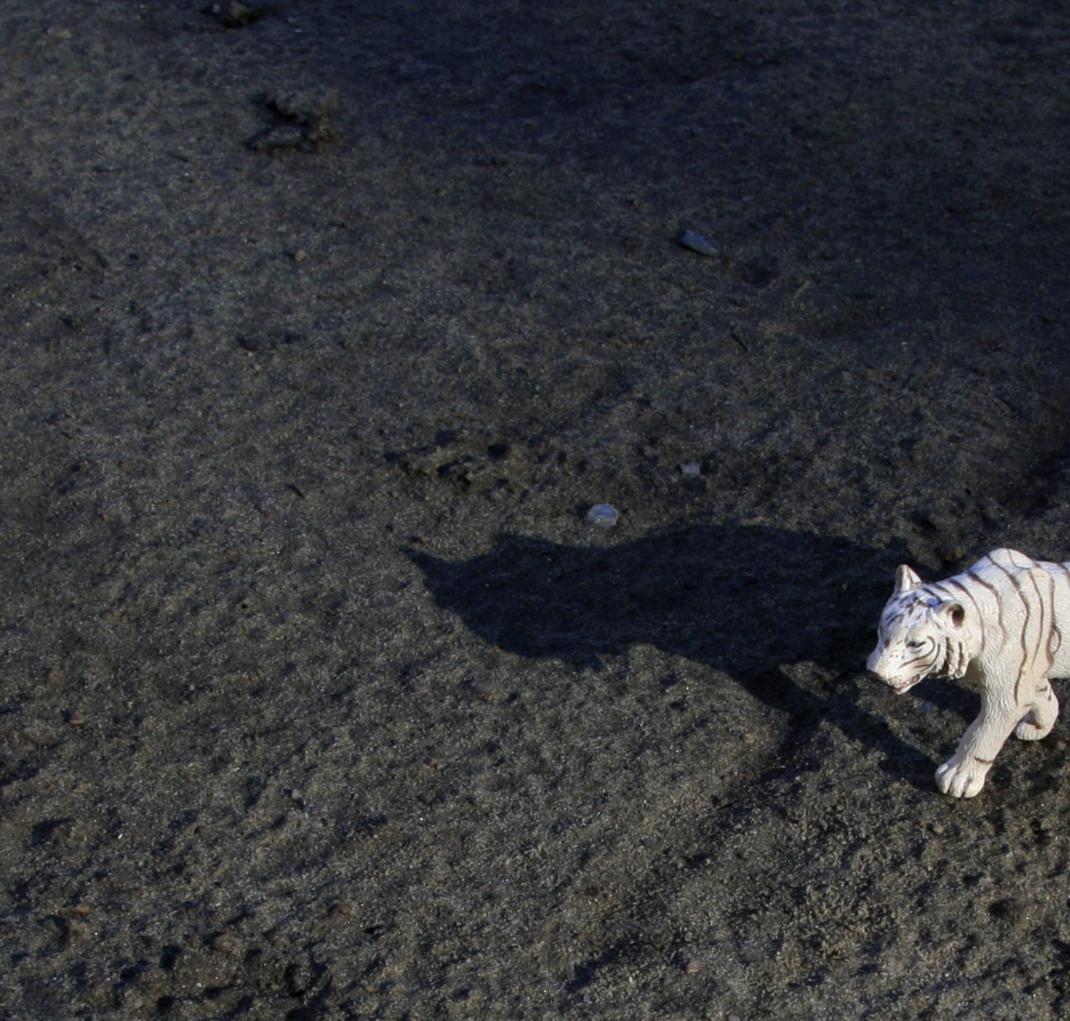 Untitled IV. From LenkPlay Series. Limited edition color photograph - Abstract Photograph by Dubravka Lazic