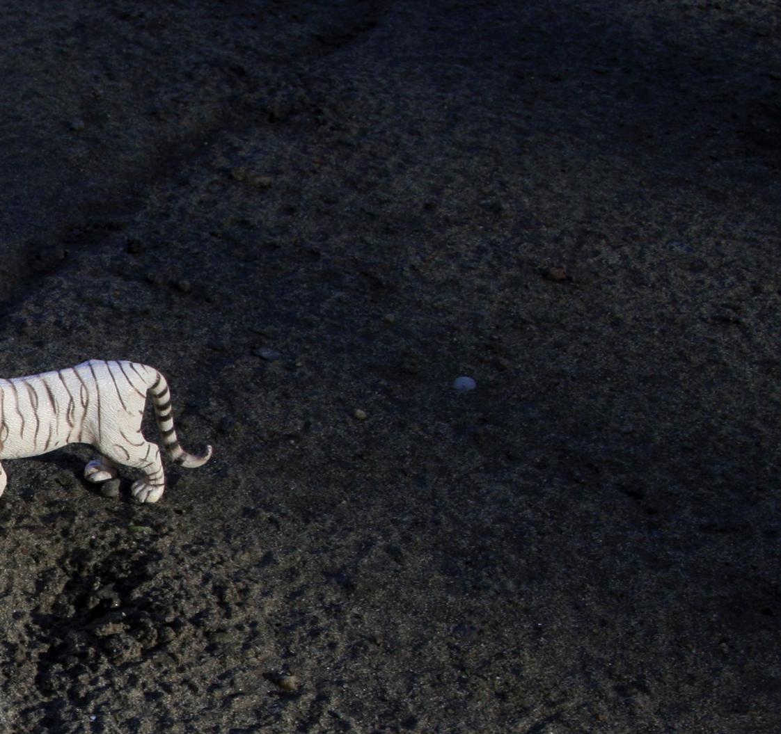 Untitled IV. From LenkPlay Series. Limited edition color photograph - Black Color Photograph by Dubravka Lazic