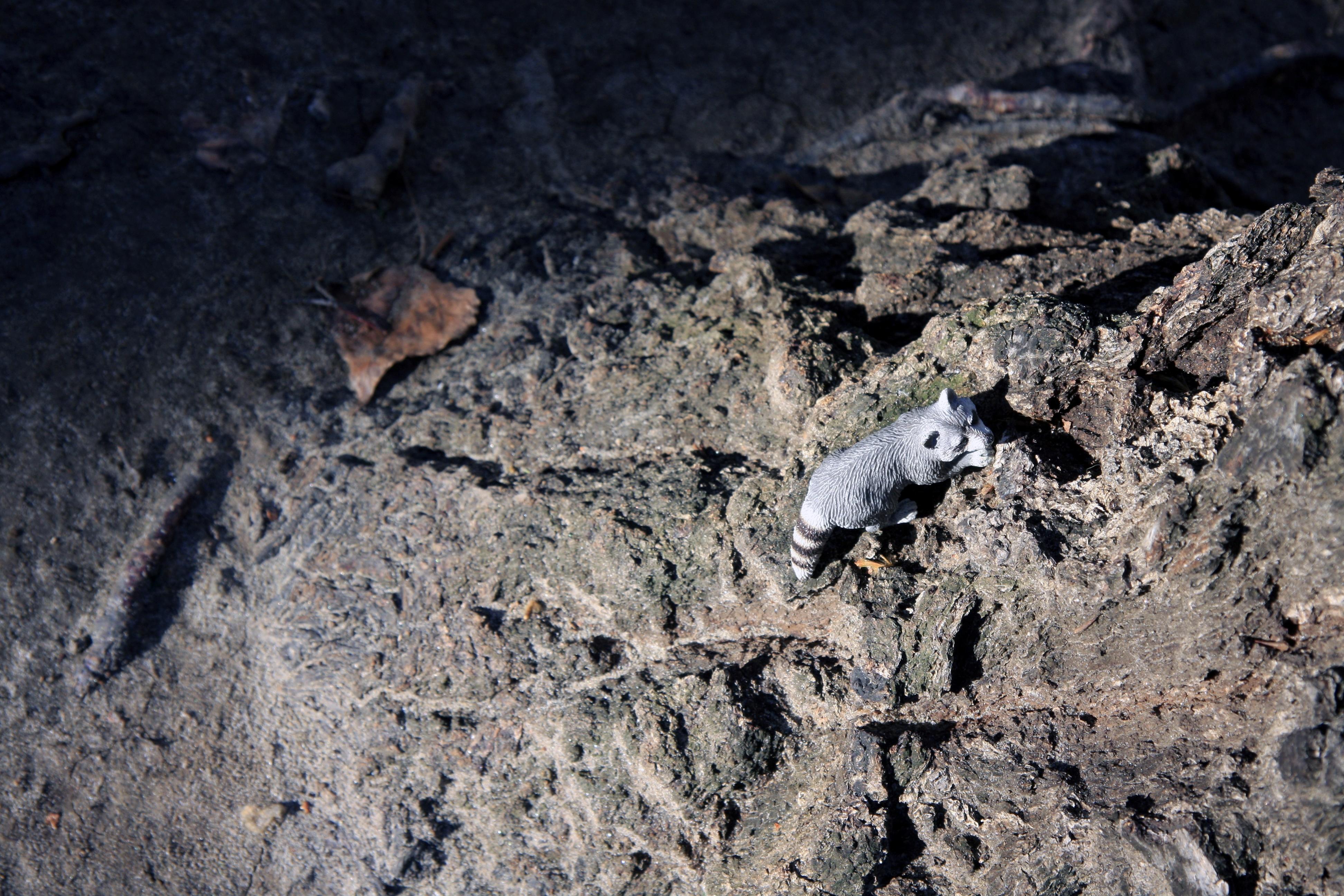 Dubravka Lazic Color Photograph - Untitled IX. From LenkPlay Series. Limited edition color photograph