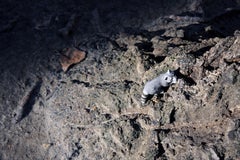 Untitled IX. From LenkPlay Series. Limited edition color photograph