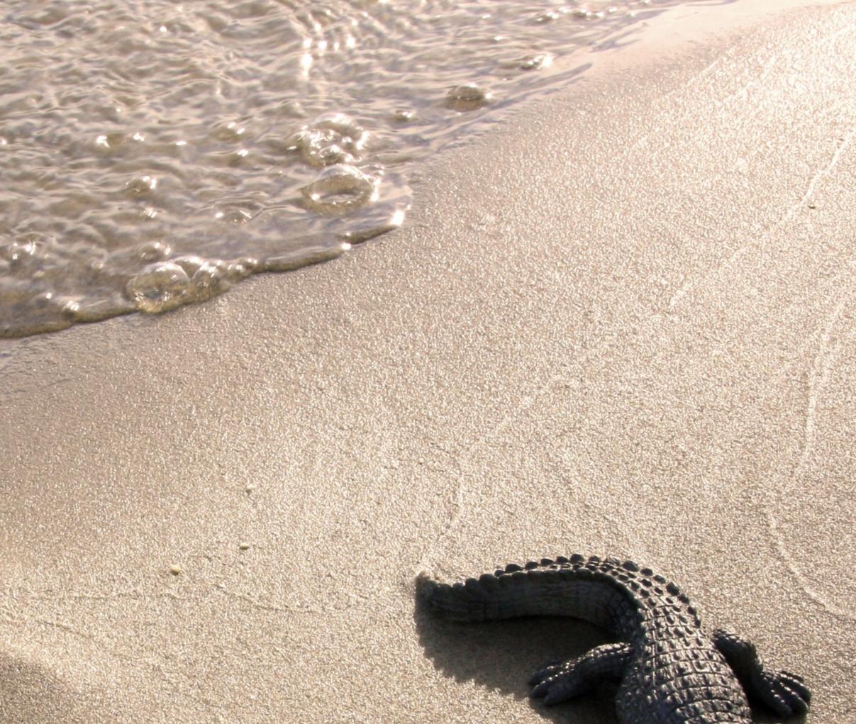 Untitled V. From LenkPlay Series. Limited edition color photograph - Photograph by Dubravka Lazic