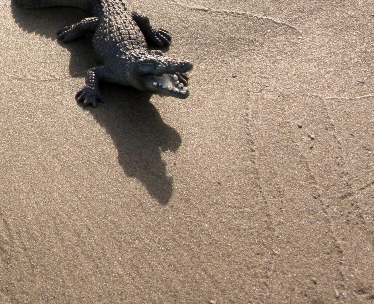 Untitled V. From LenkPlay Series. Limited edition color photograph - Brown Landscape Photograph by Dubravka Lazic