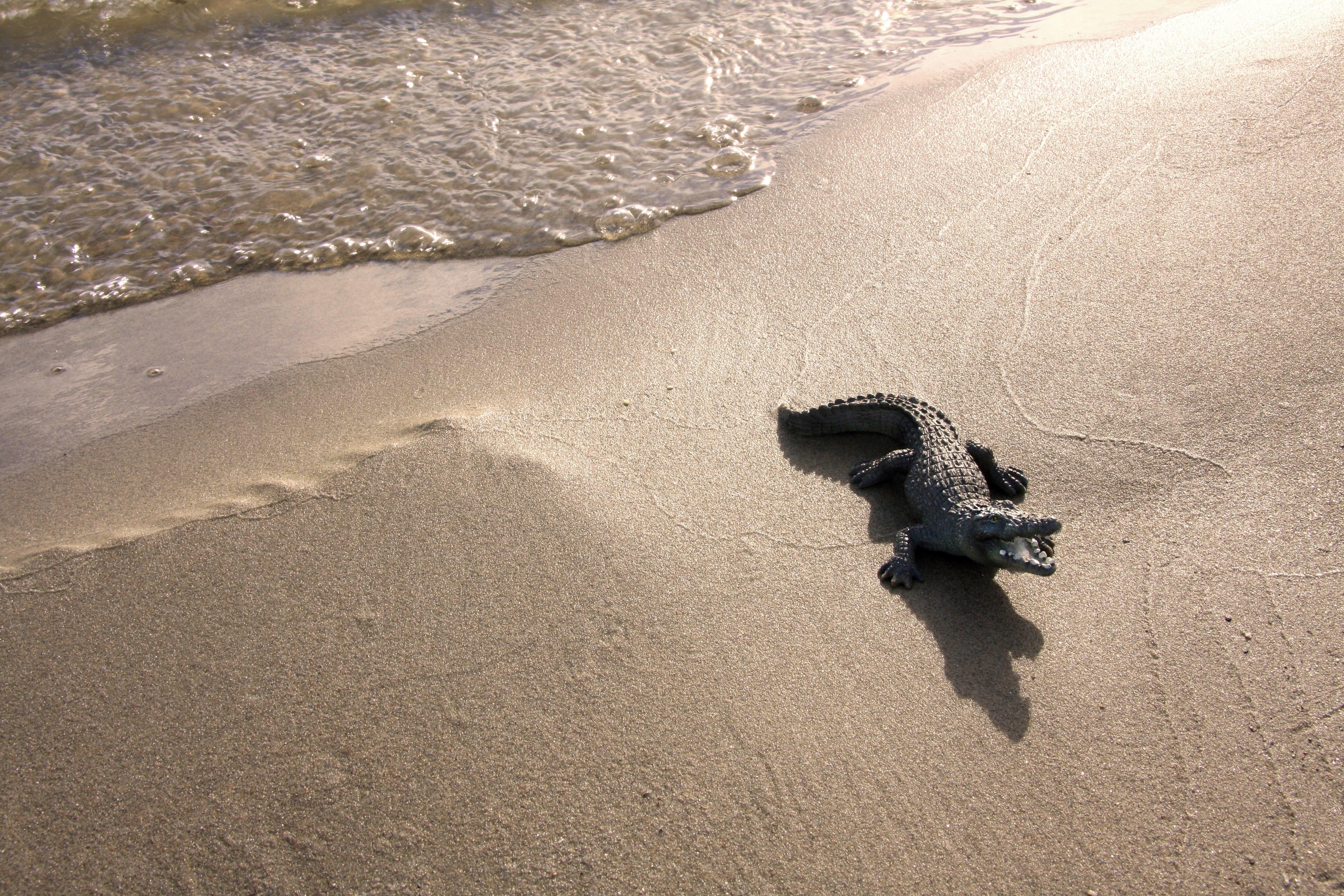 Untitled V. From LenkPlay Series. Limited edition color photograph