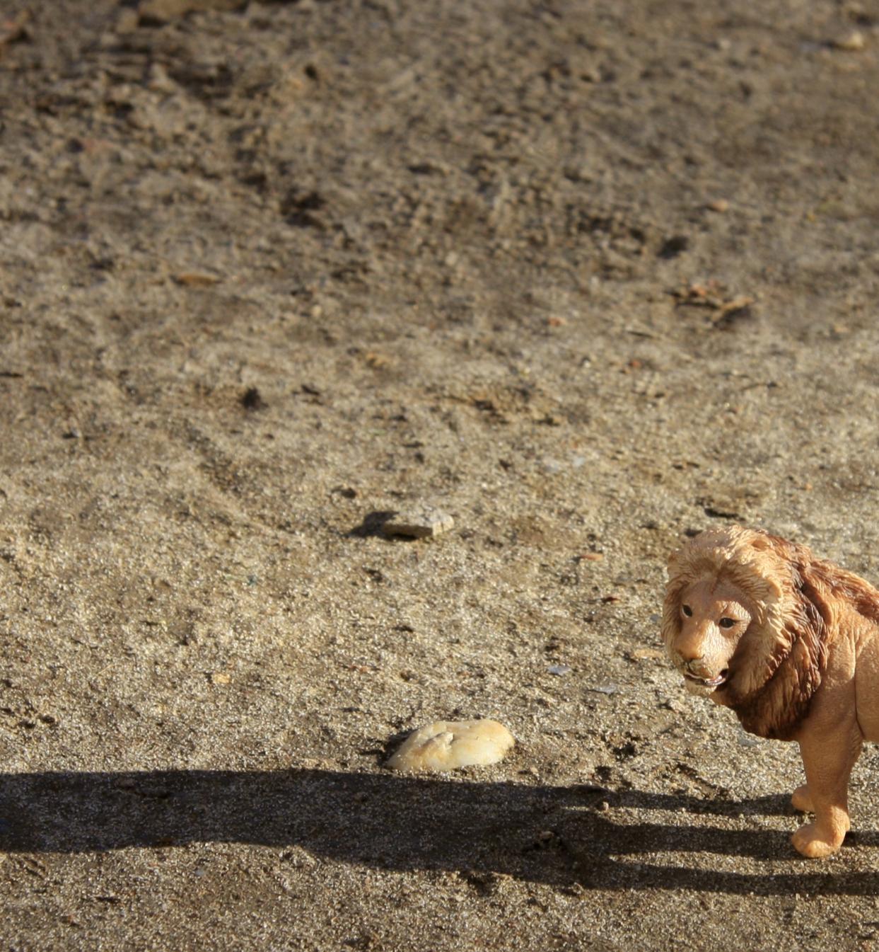 Untitled VI. From LenkPlay Series. Limited edition color photograph - Photograph by Dubravka Lazic