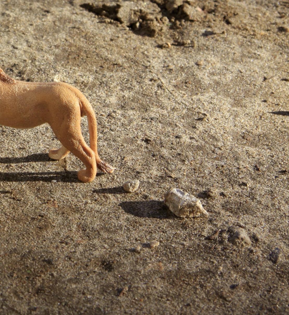 Untitled VI. From LenkPlay Series. Limited edition color photograph - Abstract Photograph by Dubravka Lazic