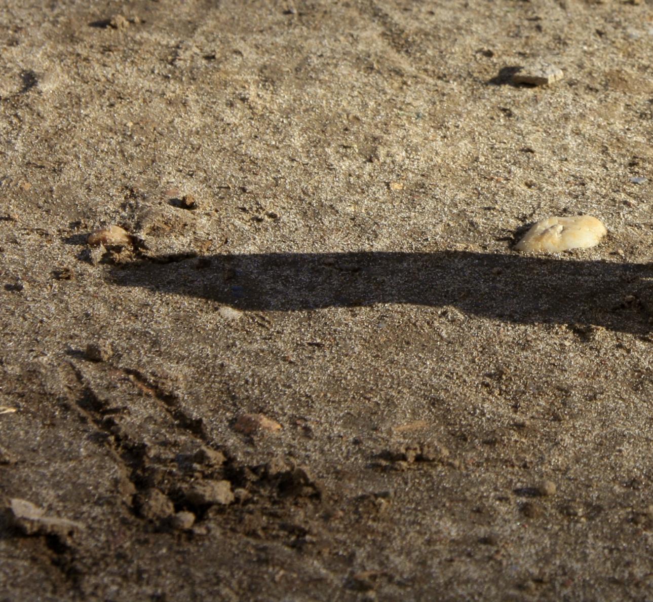 Untitled VI. From LenkPlay Series. Limited edition color photograph - Brown Landscape Photograph by Dubravka Lazic