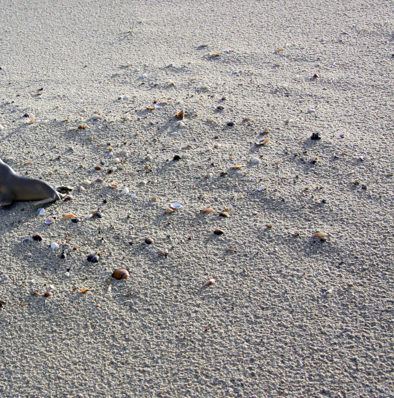 Untitled VII. From LenkPlay Series. Limited edition color photograph - Photograph by Dubravka Lazic