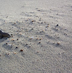 Sans titre VII. De la série LenkPlay. Photographie en couleur en édition limitée