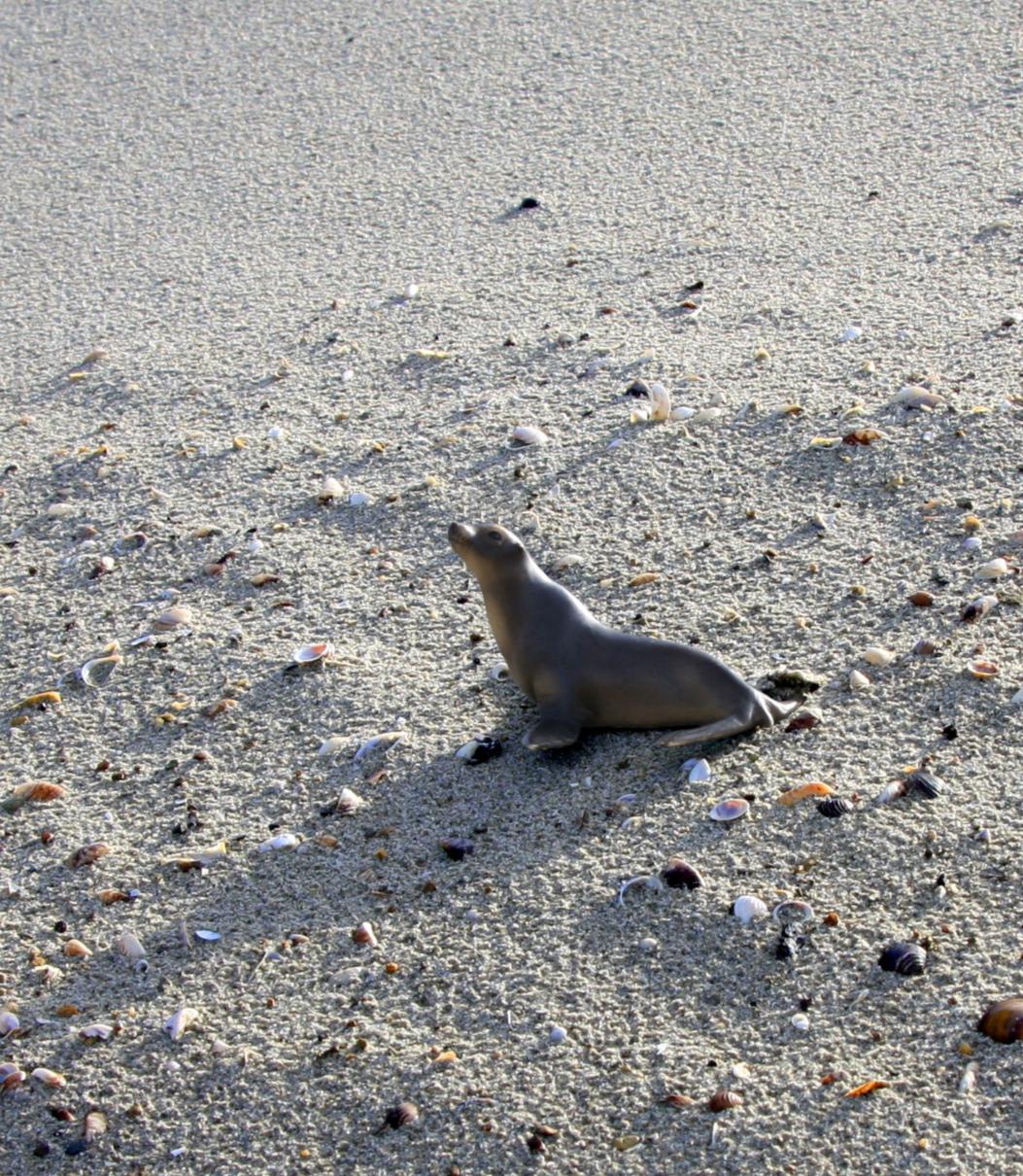 Untitled VII. From LenkPlay Series. Limited edition color photograph - Abstract Photograph by Dubravka Lazic