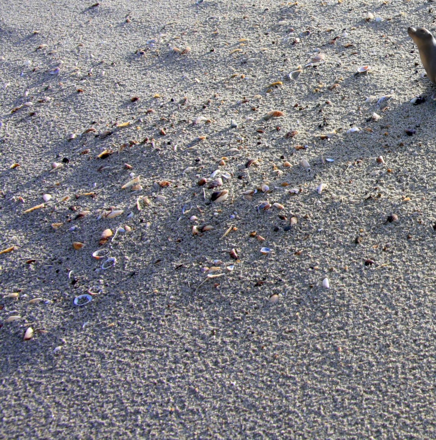 Untitled VII. From LenkPlay Series. Limited edition color photograph - Gray Landscape Photograph by Dubravka Lazic