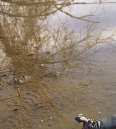 Untitled X. From LenkPlay Series. Limited edition color photograph
