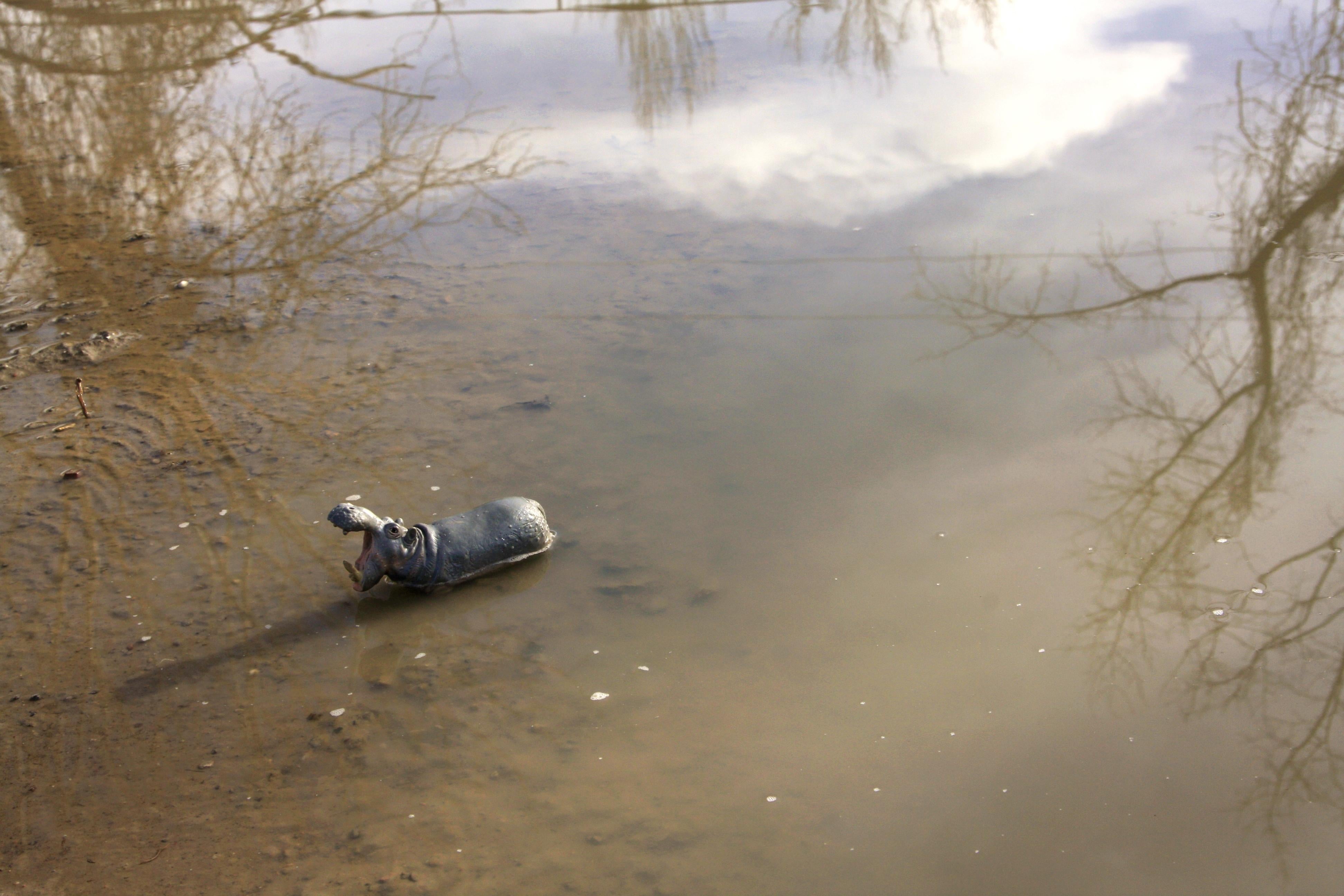 Dubravka Lazic Color Photograph - Untitled X. From LenkPlay Series. Limited edition color photograph