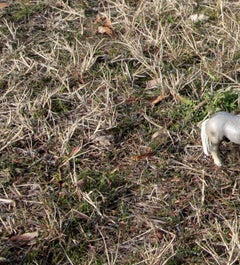 Sin título XI. De la serie LenkPlay. Fotografía en color de edición limitada