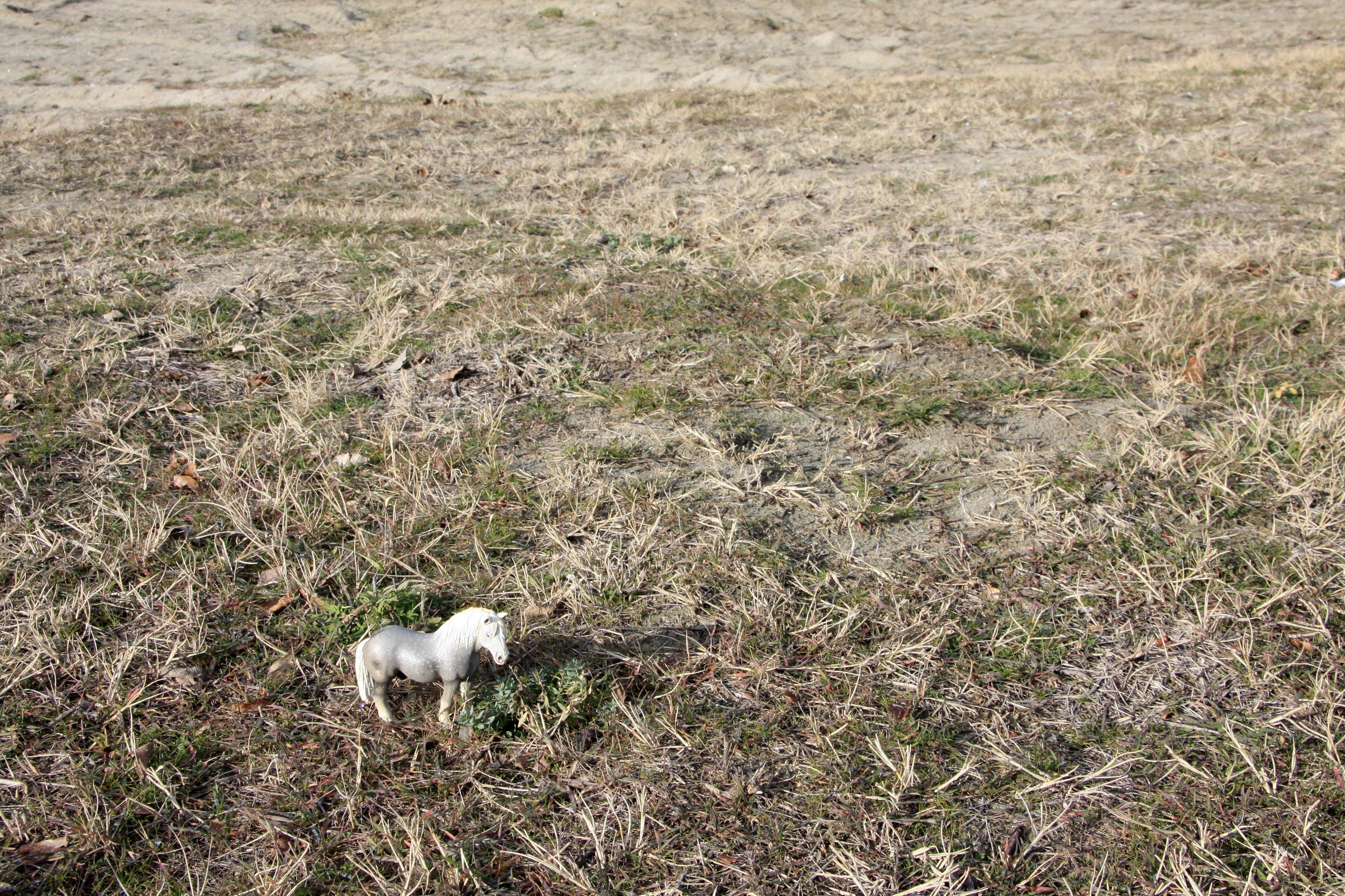 Dubravka Lazic Landscape Photograph - Untitled XI. From LenkPlay Series. Limited edition color photograph