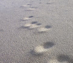 Ohne Titel XII. Aus der LenkPlay-Serie. Farbfotografie in limitierter Auflage