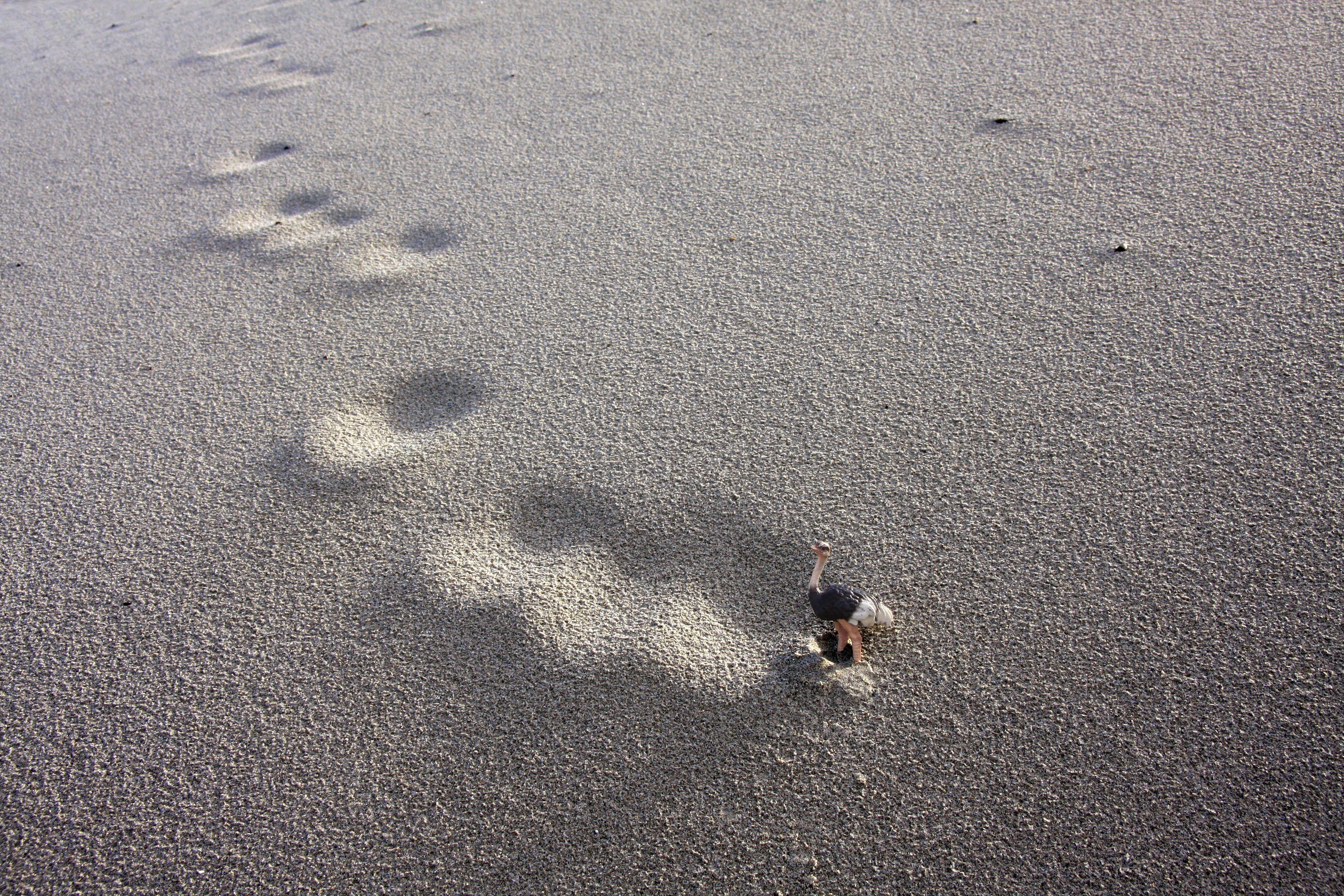 Dubravka Lazic Landscape Photograph - Untitled XII. From LenkPlay Series. Limited edition color photograph