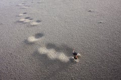 Untitled XII. From LenkPlay Series. Limited edition color photograph