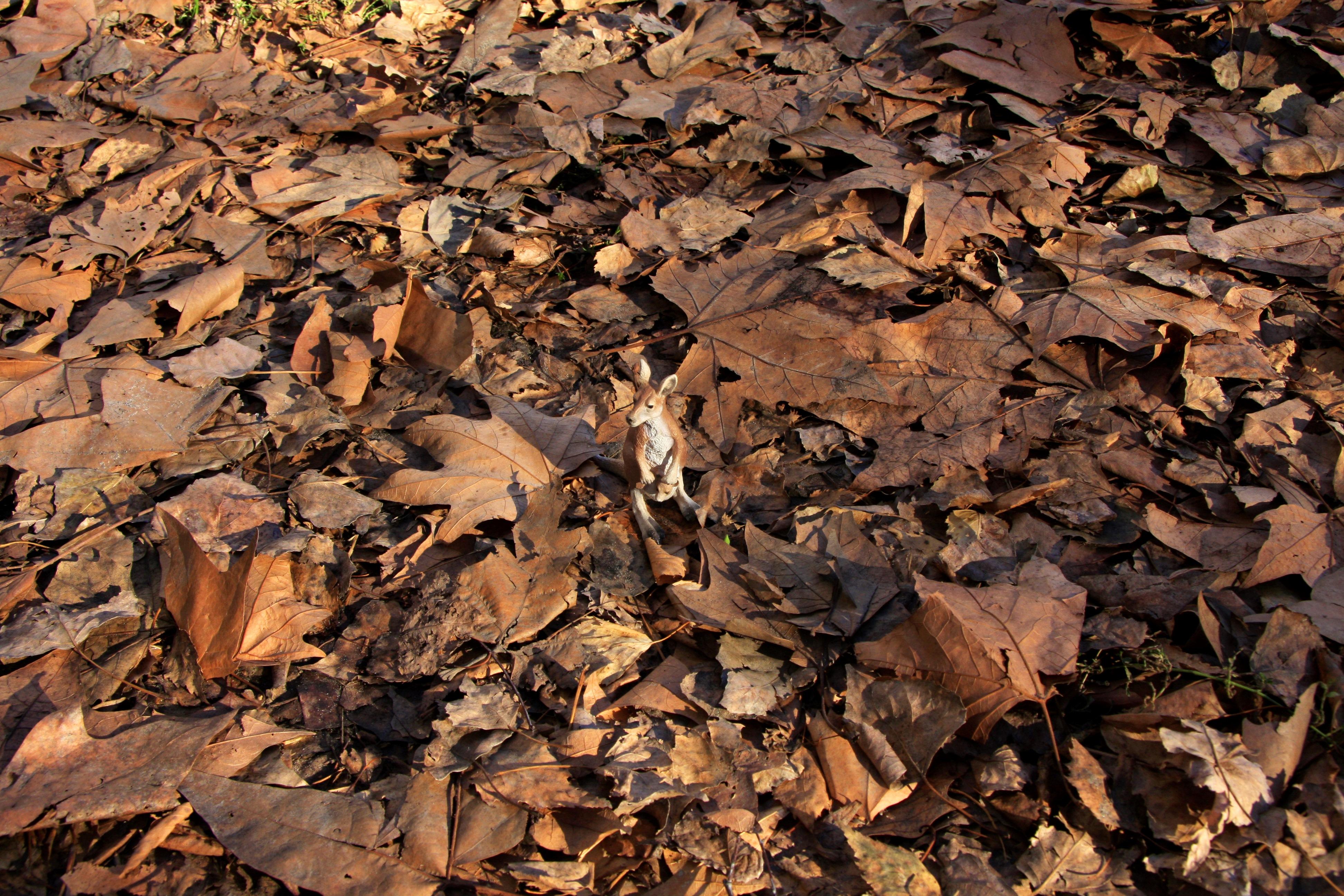 Dubravka Lazic Landscape Photograph - Untitled XIII. From LenkPlay Series. Limited edition color photograph