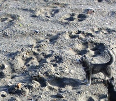 Ohne Titel XV. Aus der LenkPlay-Serie. Farbfotografie in limitierter Auflage