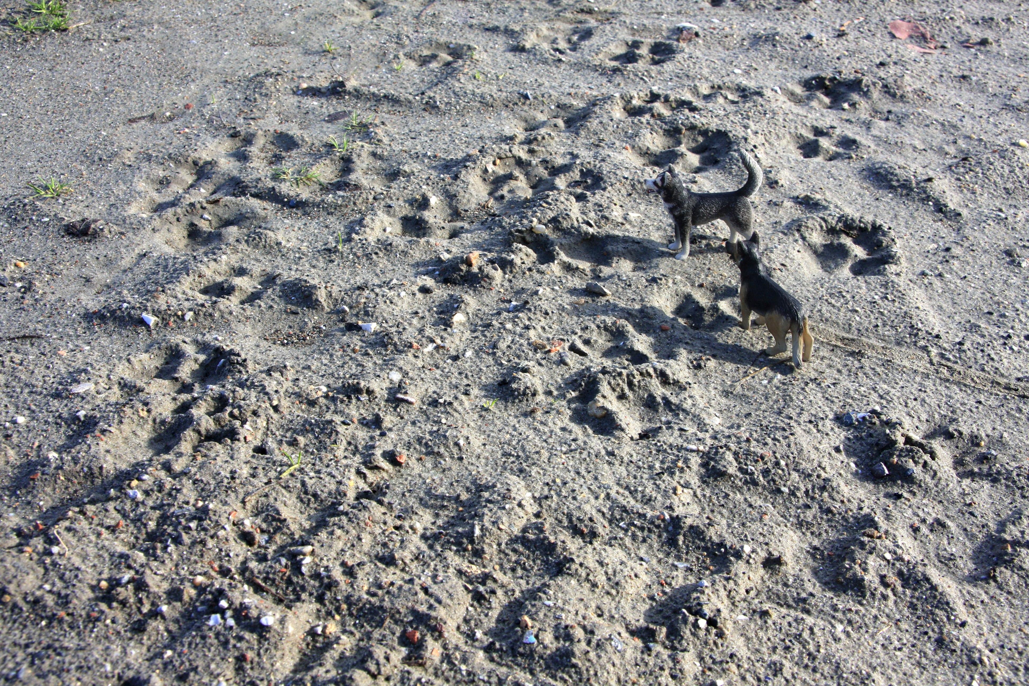 Dubravka Lazic Color Photograph - Untitled XV. From LenkPlay Series. Limited edition color photograph