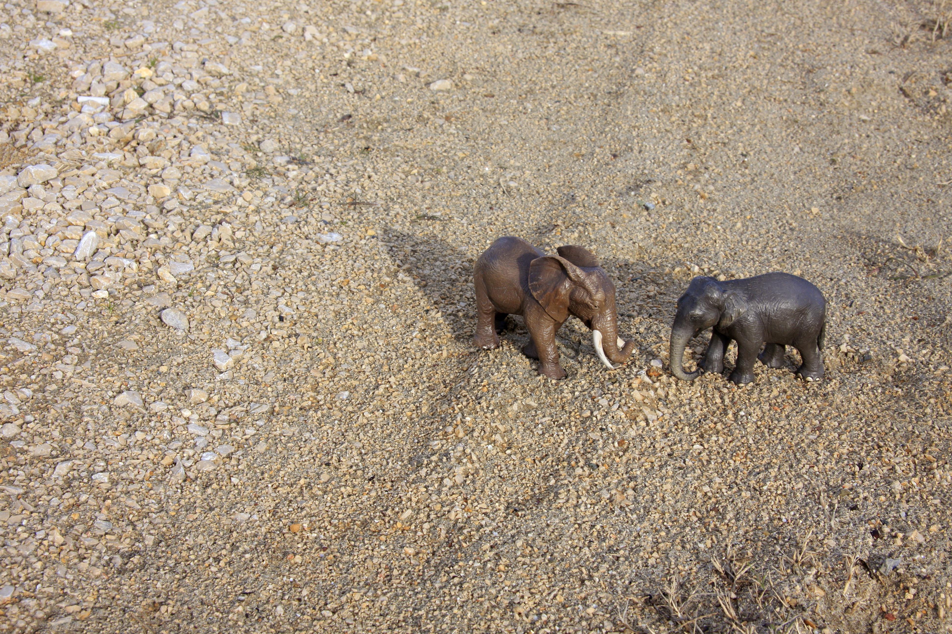 Dubravka Lazic Landscape Photograph - Untitled XVI. From LenkPlay Series. Limited edition color photograph