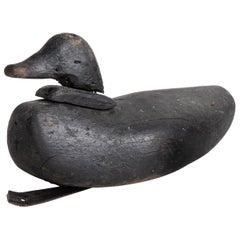 Duck Decoy, circa 1900