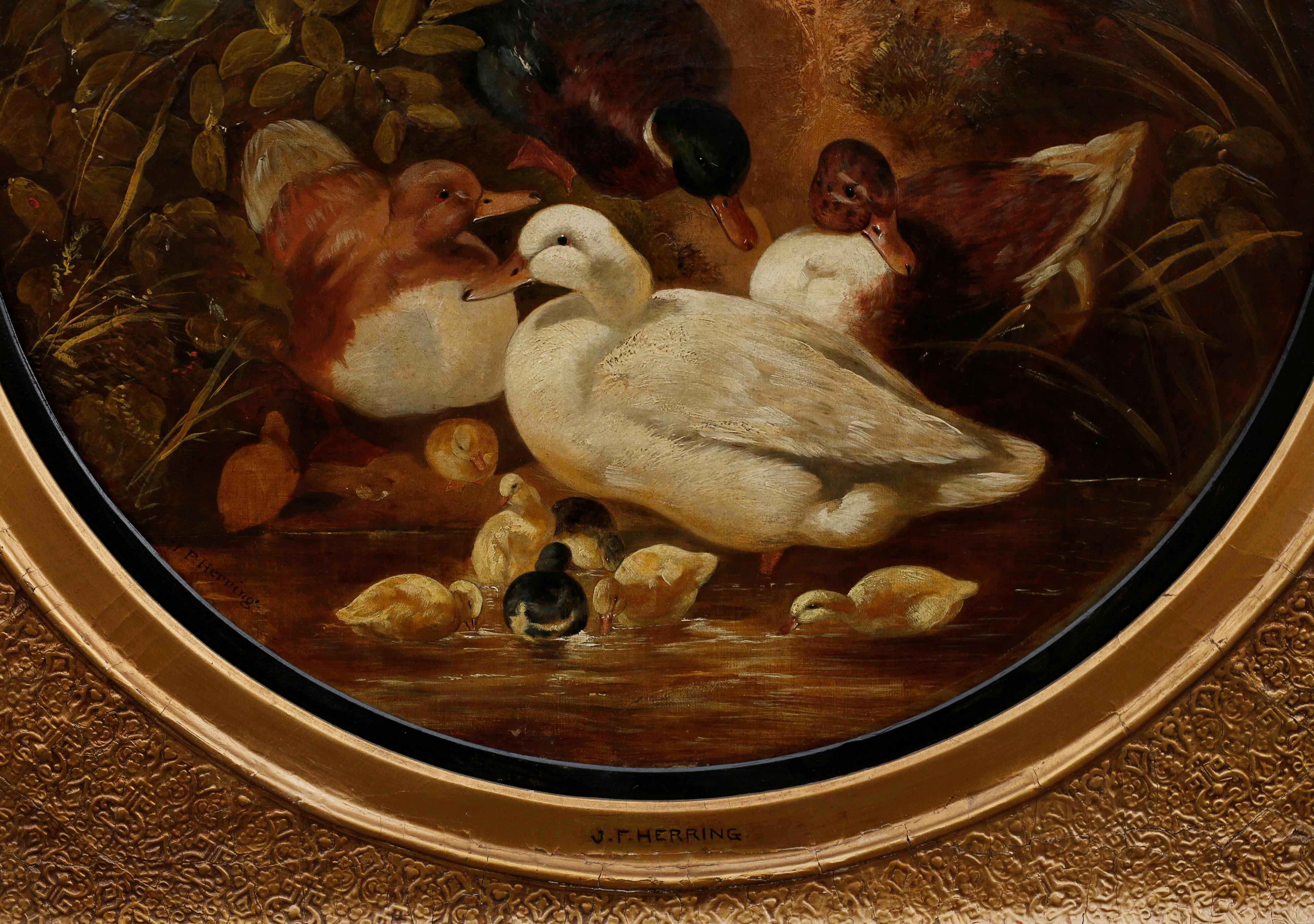 A charming painting by John Federick Herring, Sr. (1795-1865), the scene presents a mallard and family of ducks entering a stream, which is dominated by a white Aylesbury duck. Reeds and rushes frame the composition. The tondo painting is contained