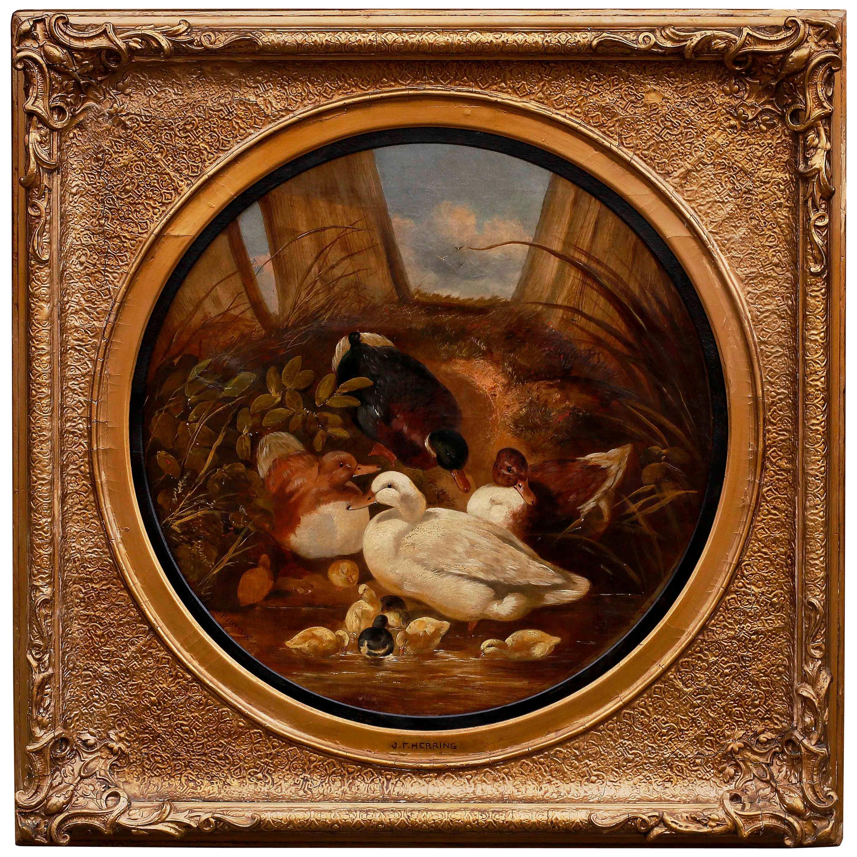 "Ducks and Ducklings, " 19th Century Oil Painting by J. F. Herring, Sr.