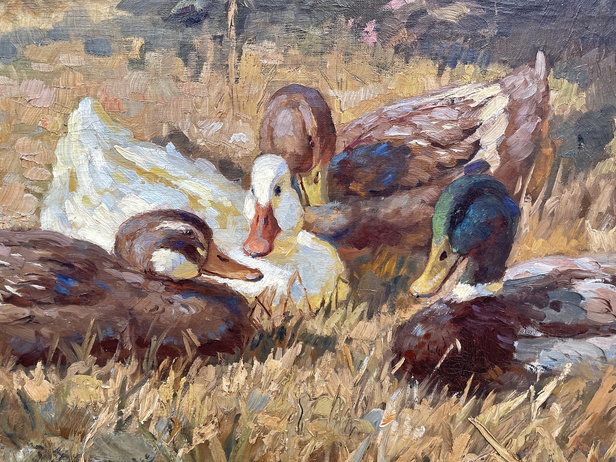 Ducks Oil on Canvas Painting by Keller-Kühne Josef  Woldemar For Sale 1