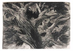 The Crow - Woodcut by Duilio Cambellotti - 1930s