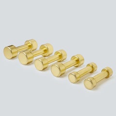 Dumbbell Set in Stainless Steel Covered in Gold Leather