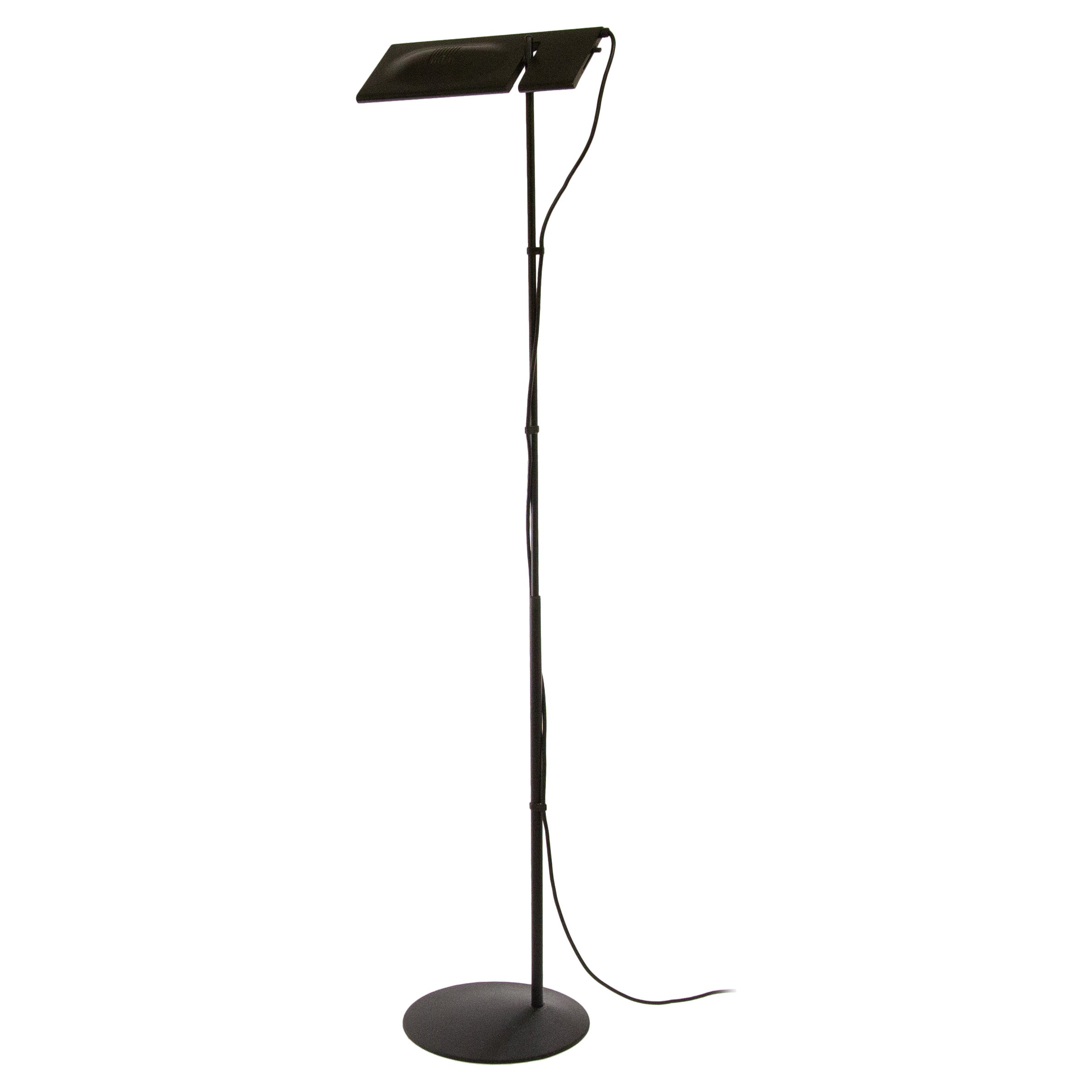 Duna Floor Lamp by Mario Barbaglia 
Marco Colombo for Paf Studio, 1980s For Sale