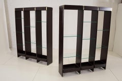 Dunbar Bookcase Wall Units by Edward Wormley
