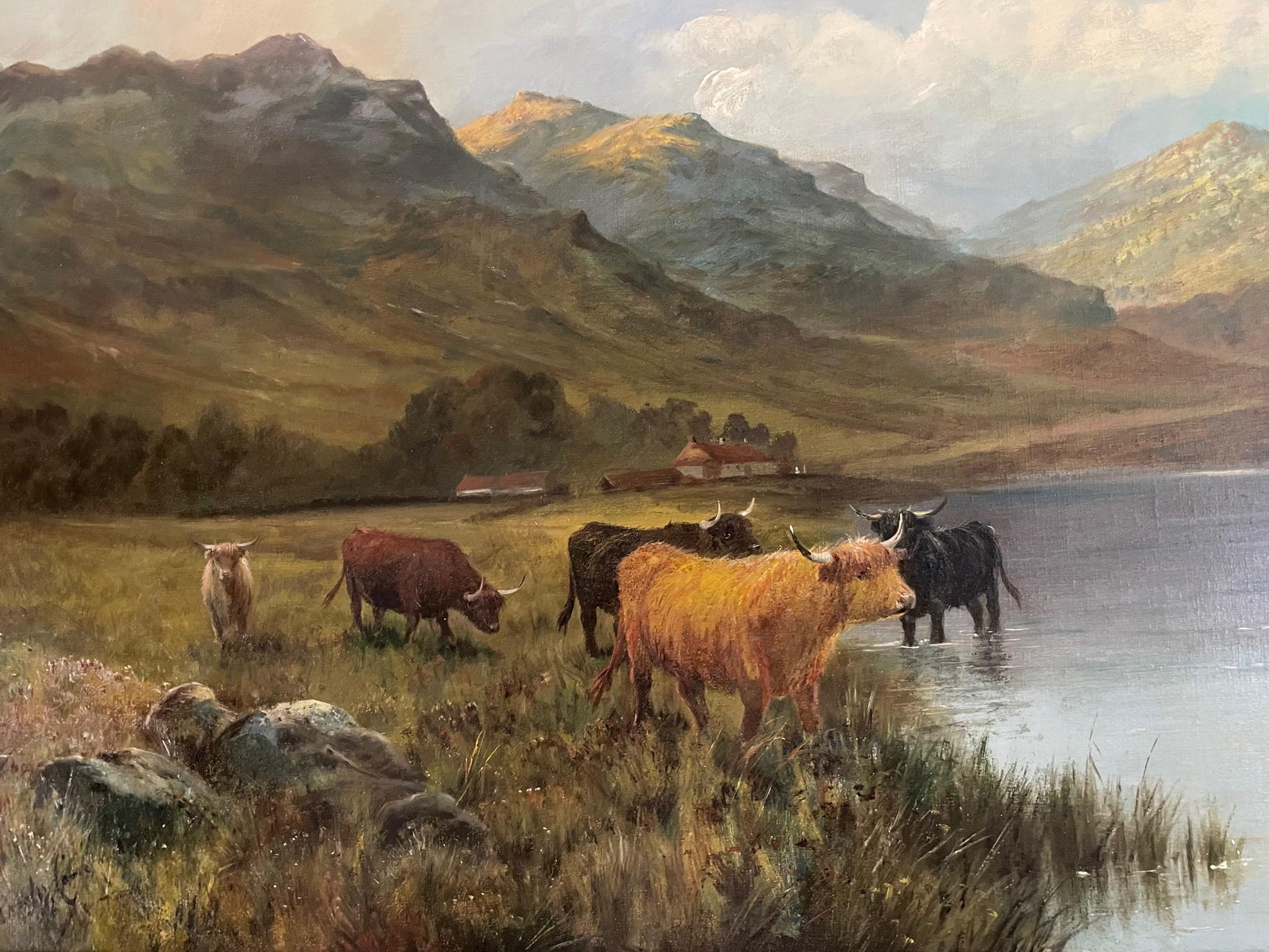 Highland Cattle Watering  - Painting by Douglas Cameron