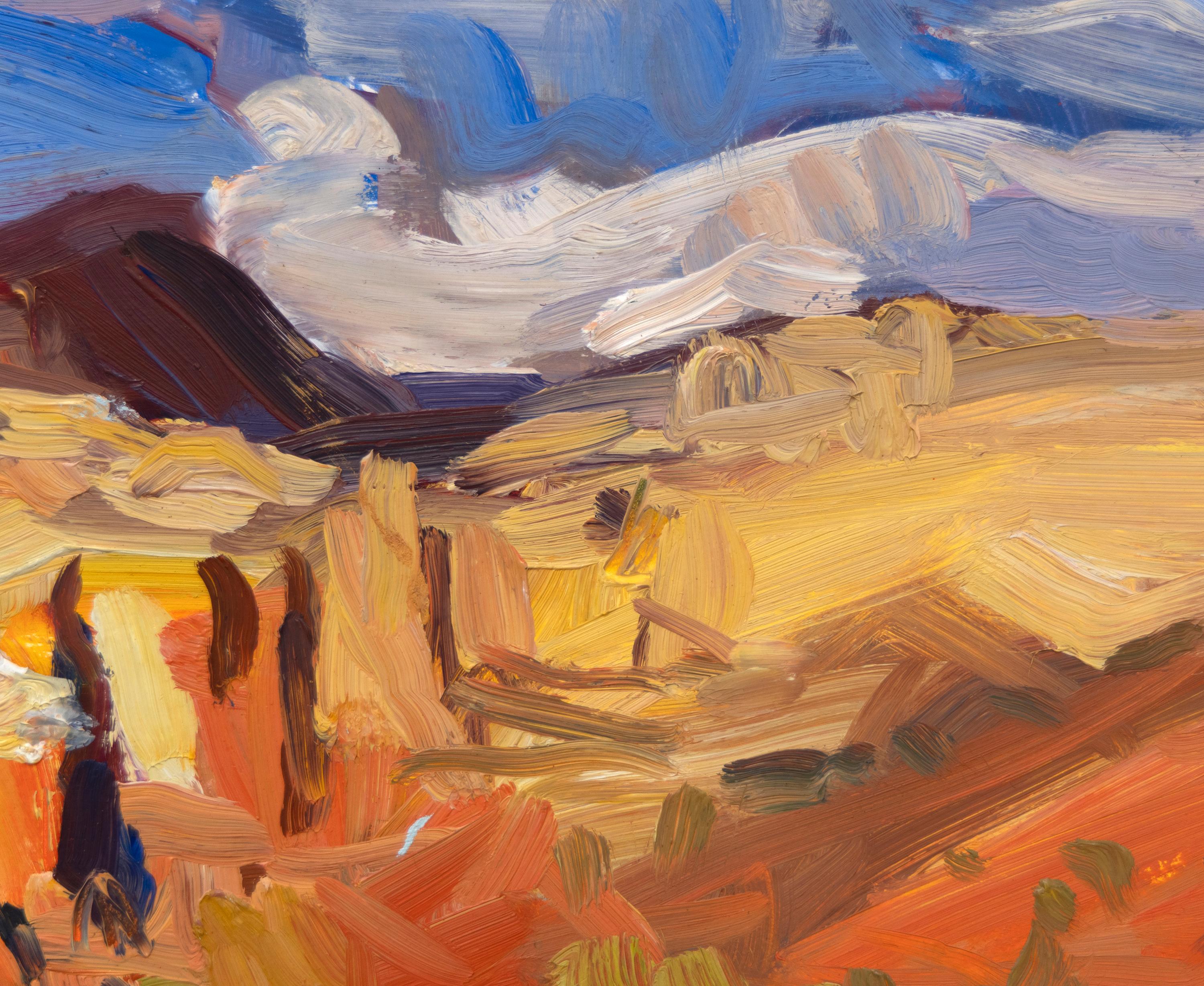 Evening Mesa and Rim - Contemporary Painting by Duncan Martin