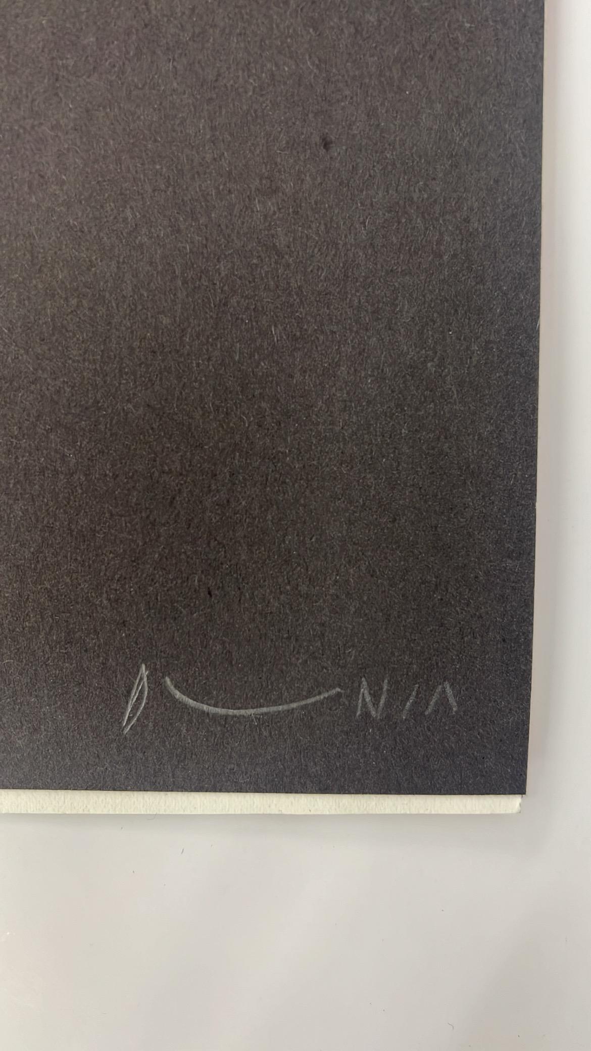 Untitled XII For Sale 2