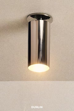 Dunlin Spruce St Spot Light, Nickel Plated Brass