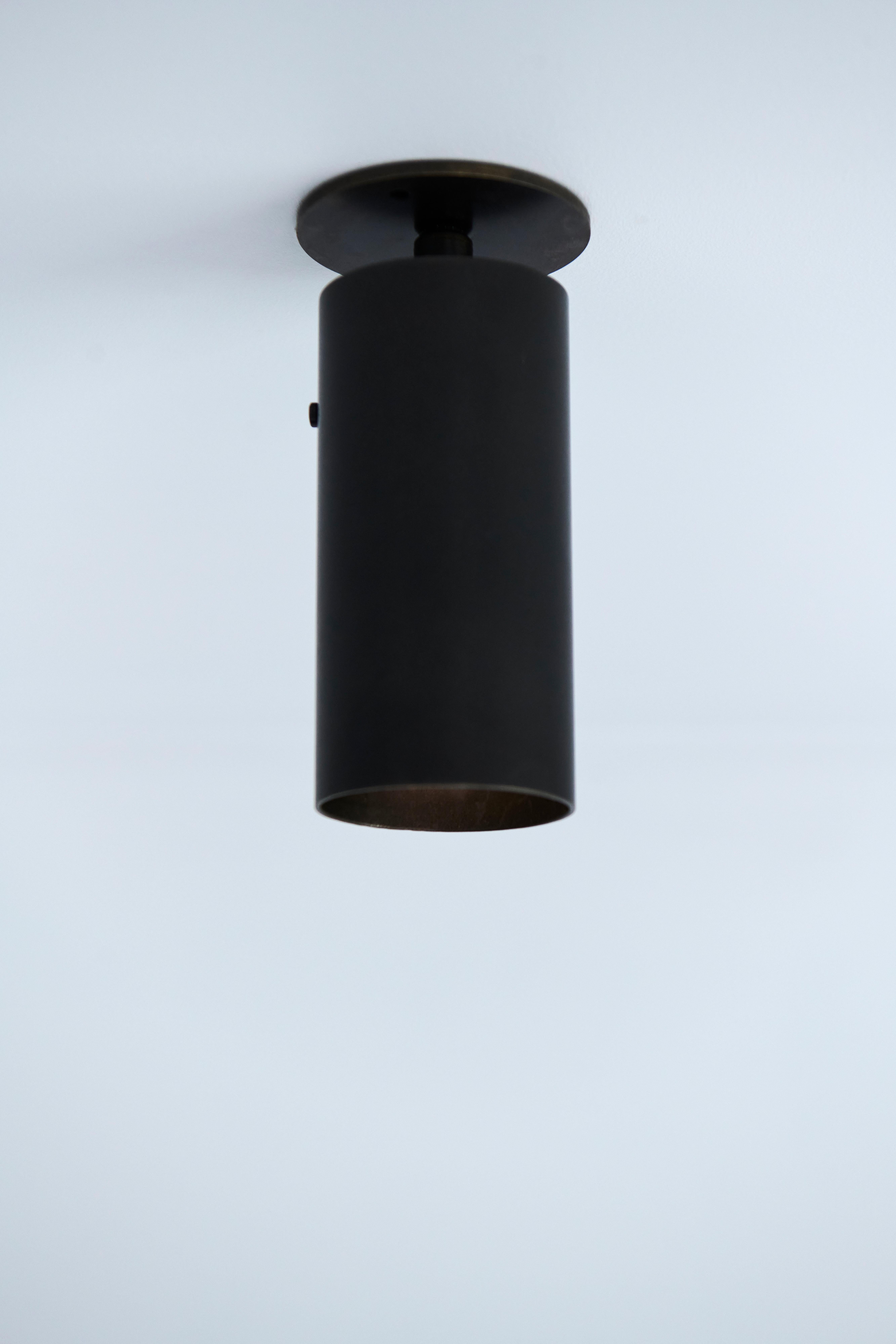 Australian Spruce St Spot Light, Noir Blackened Brass by DUNLIN For Sale