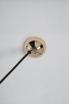 DUOS 36 S Model No Adjustable Side Pull Suspension Lamp by Florian Schulz, Germany