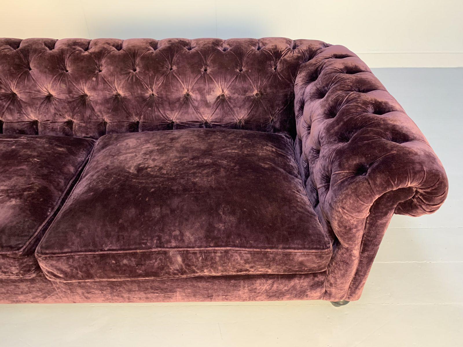 chesterfield sofa purple