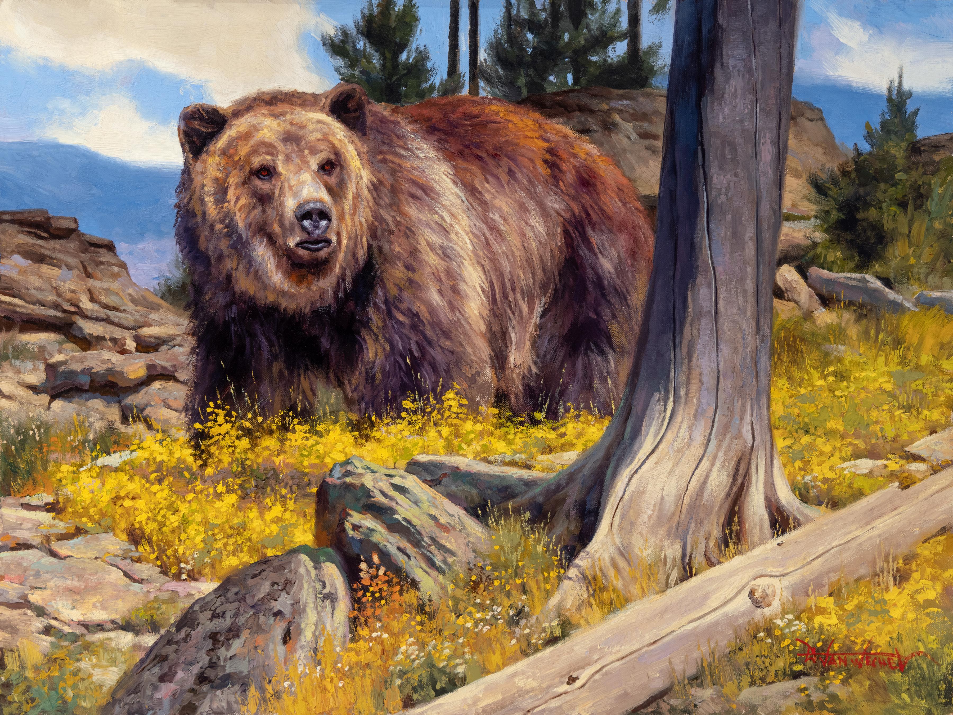 Not Yogi Bear - Painting by Dustin Van Wechel