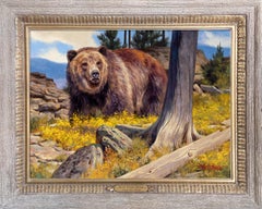 Not Yogi Bear