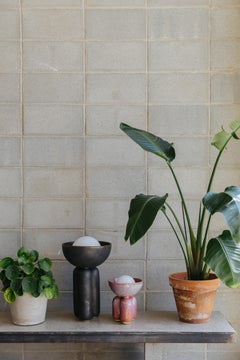 Dusty Rose Small Half Sphere Lamp by Lisa Allegra