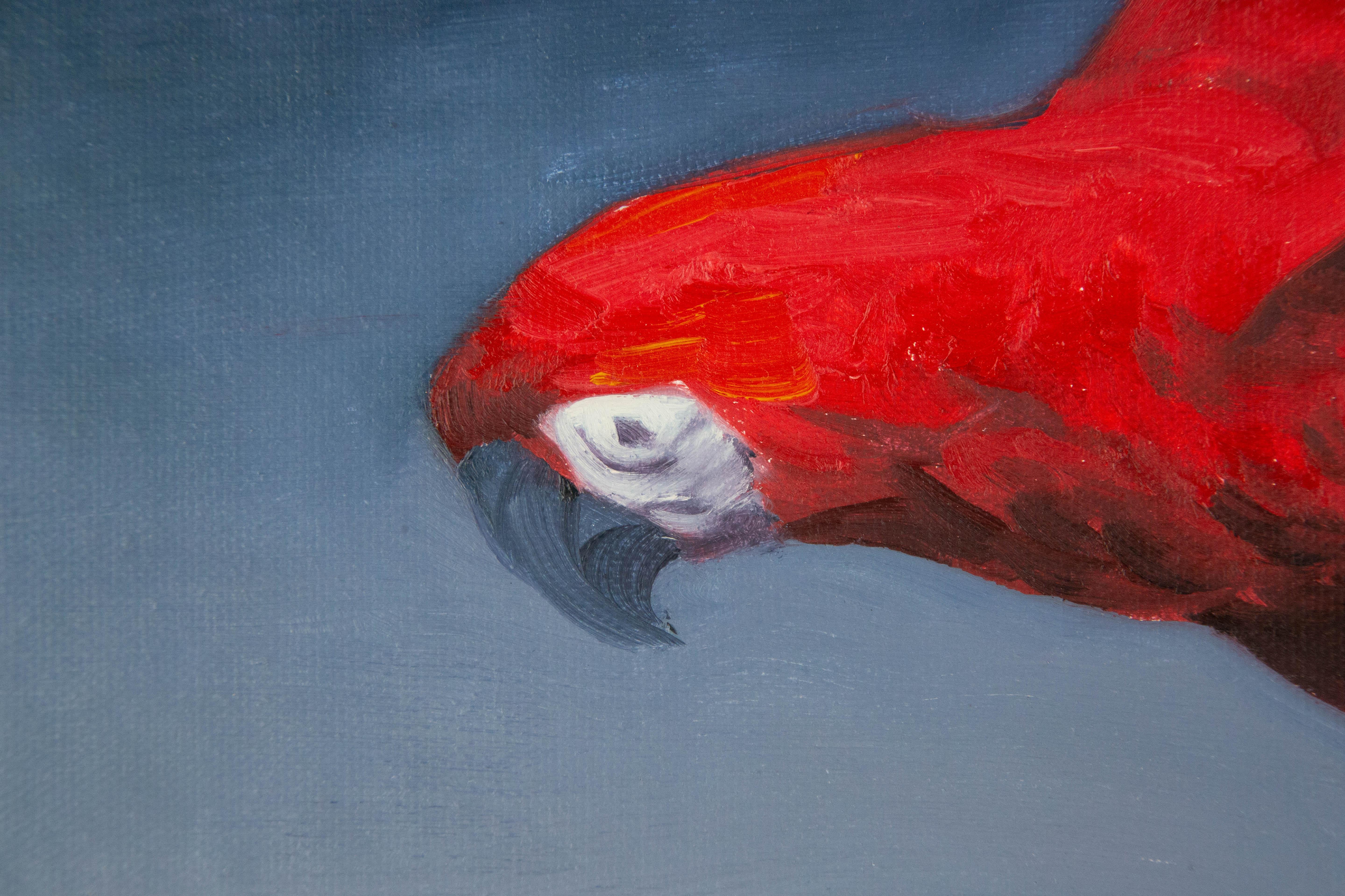 Dutao Wang Tier Original Ölgemälde auf Leinwand „ Papagei III“ im Angebot 5