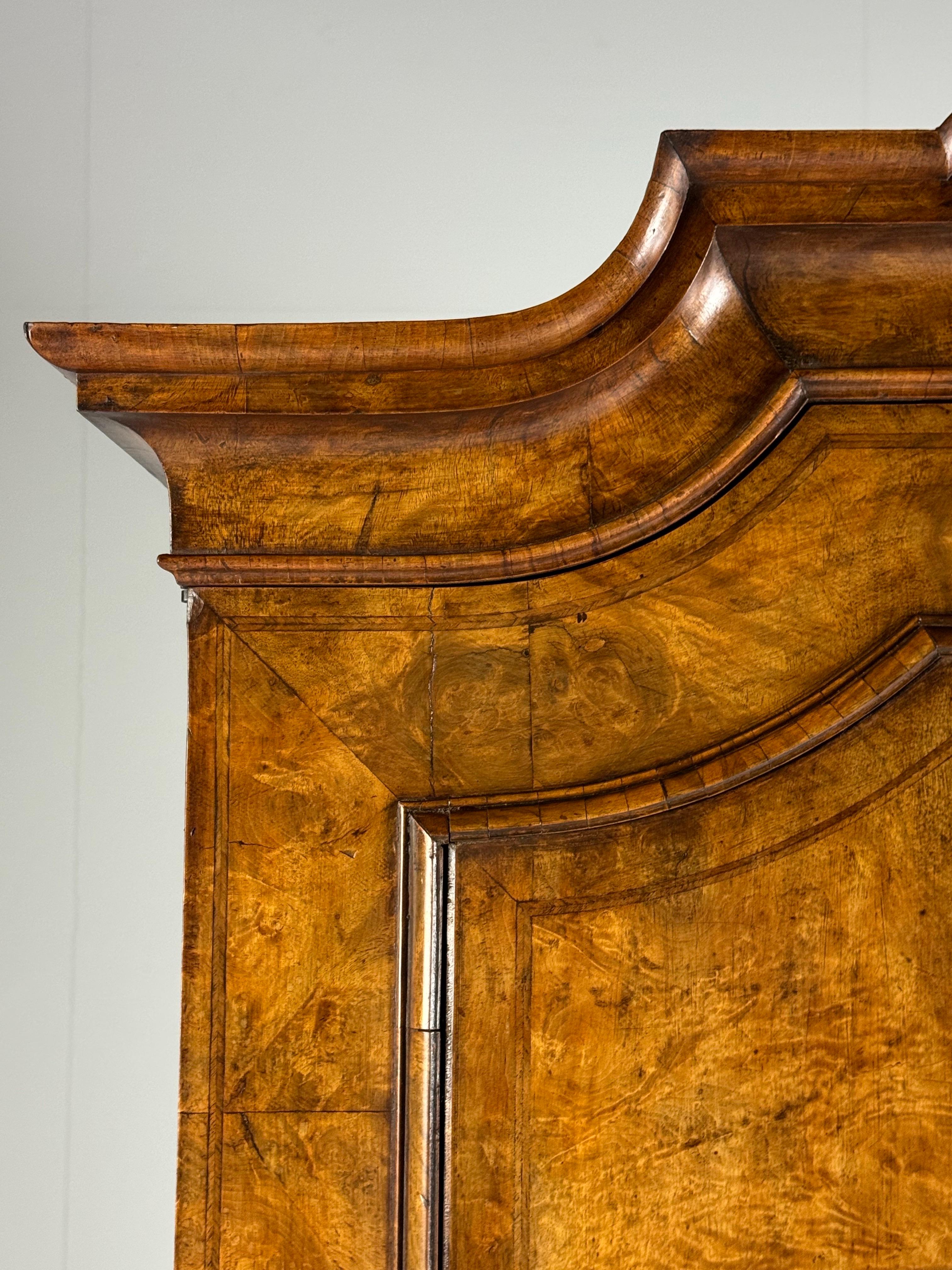 Dutch 18th century Burr Walnut Cabinet For Sale 13