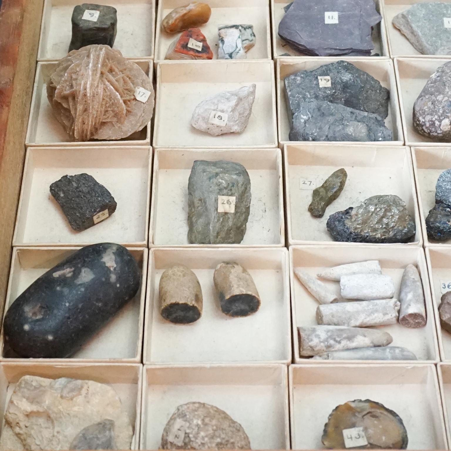 Dutch 1920s Large Study Case with Collection of 48 Minerals and Rocks Specimens 4