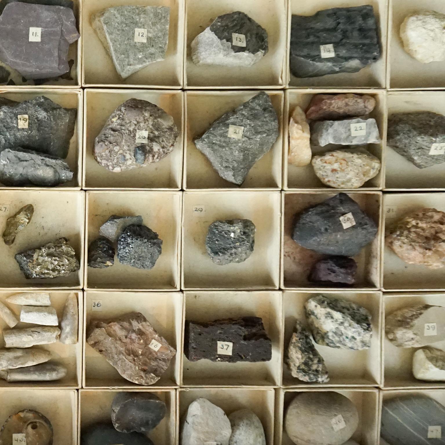 Dutch 1920s Large Study Case with Collection of 48 Minerals and Rocks Specimens 6